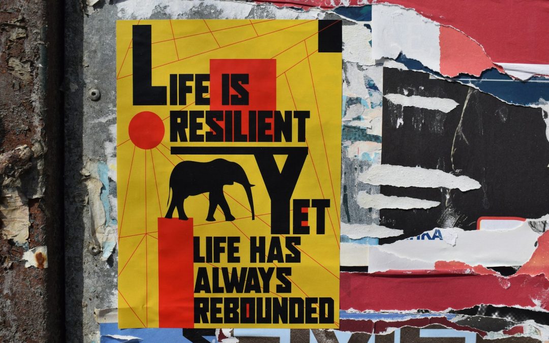 Embrace Responsibility to Unlock Your True Potential for Success