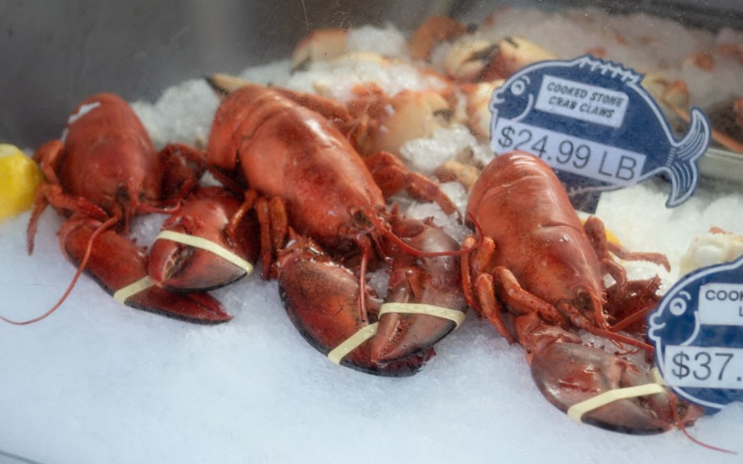 The Benefits of Seafood for Your Success Journey