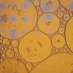 Unlocking Glutamine: The Key to Enhanced Performance and Recovery Unlocking Glutamine: The Key to Enhanced Performance and Recovery