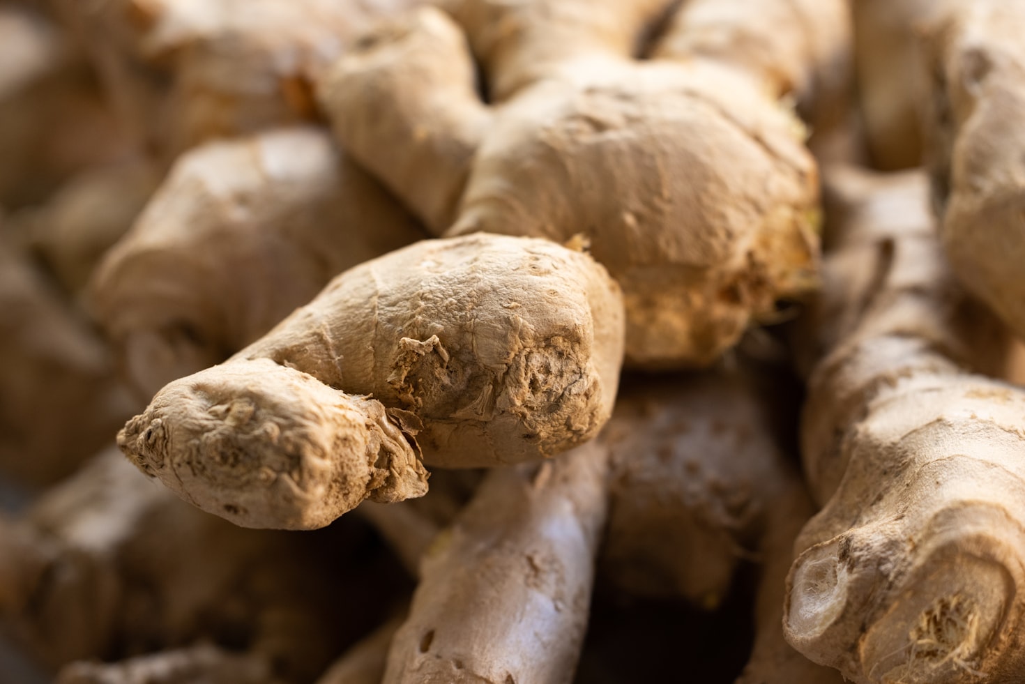 Unlocking the Power of Ginger for Health and Success
