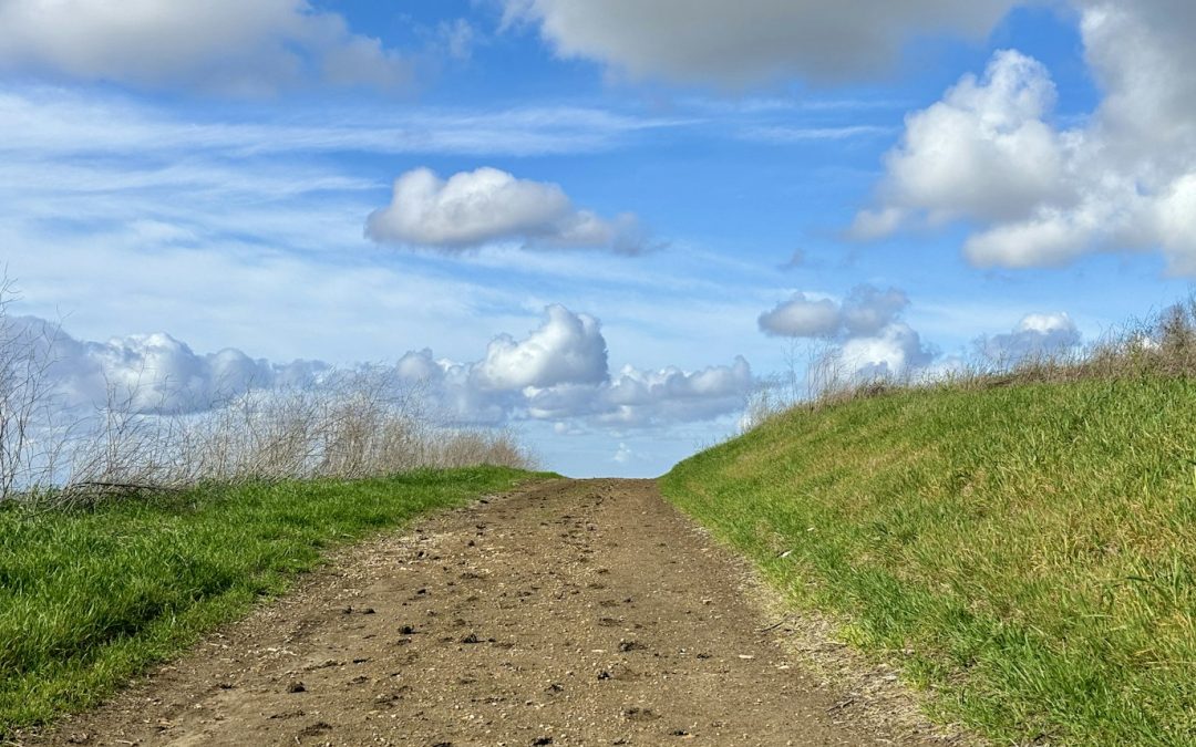 Overcoming Roadblocks: Cultivating Optimism for Success