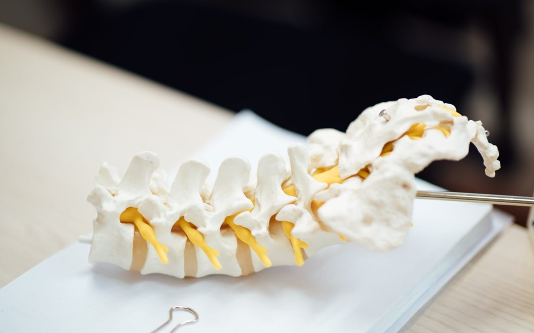 Understanding Spinal Health for Success and Well-Being