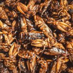 Embrace Entomophagy: Unlock Health and Sustainability Through Edible Insects