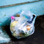 Embrace Environmental Eating for Sustainable Success and Well-being