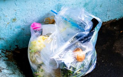 Embrace Environmental Eating for Sustainable Success and Well-being