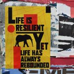 Embrace Responsibility to Unlock Your True Potential for Success