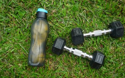 Essential Post-Workout Nutrition for Optimal Recovery and Success