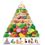 Mastering Macro Flexibility for Ultimate Nutrition Success