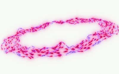 Unlocking Performance: The Power of Beta-Alanine for Success