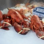 The Benefits of Seafood for Your Success Journey