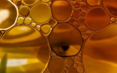 The Power of Fish Oil: Unlocking Health and Wellness Benefits