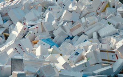 Transform Your Life By Understanding Environmental Toxins