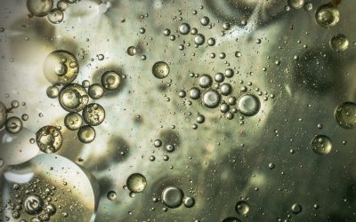 Understanding Endocrine Disruptors for a Healthier Life