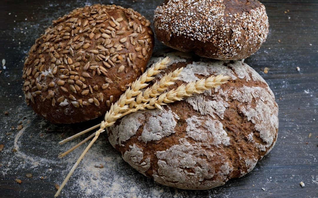 Understanding Gluten: The Key to Health and Success