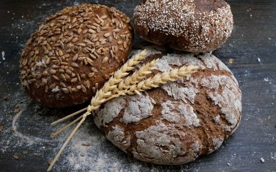 Understanding Gluten: The Key to Health and Success