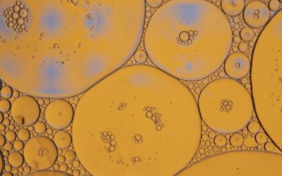 Unlocking Glutamine: The Key to Enhanced Performance and Recovery