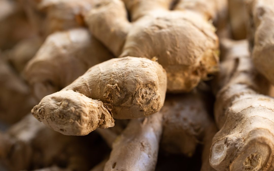 Unlocking the Power of Ginger for Health and Success