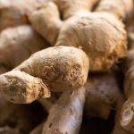 Unlocking the Power of Ginger for Health and Success