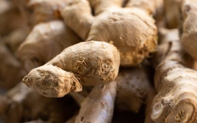 Unlocking the Power of Ginger for Health and Success