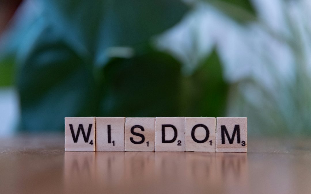 Yoda’s Timeless Wisdom for Unleashing Your Inner Success