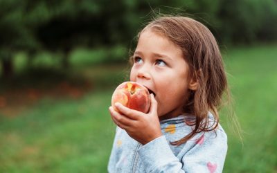 Empowering Kids with Essential Nutrition for Optimal Success