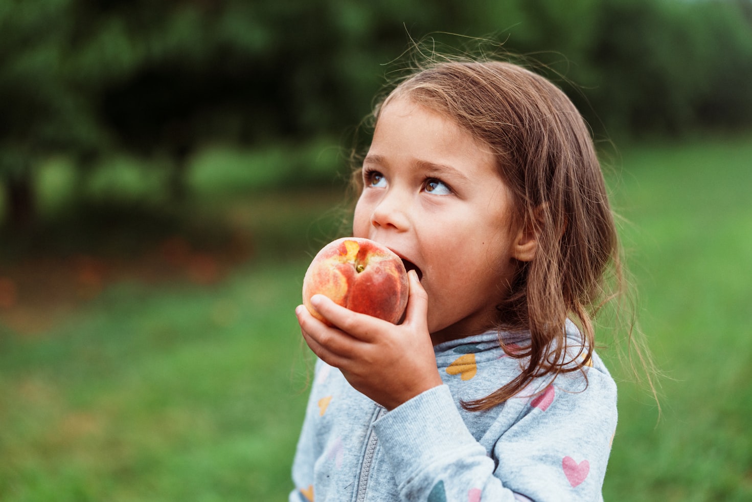 Empowering Kids with Essential Nutrition for Optimal Success