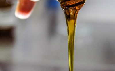 Harnessing the Power of Plant Oils for Optimal Health