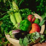 The Truth About Organic Foods: What You Need to Know