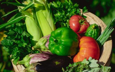 The Truth About Organic Foods: What You Need to Know