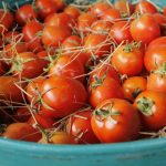 Understanding GM Foods: Benefits, Risks, and Myths Explained