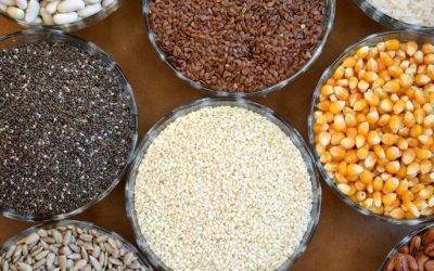Understanding Grains: Your Path to Health and Success