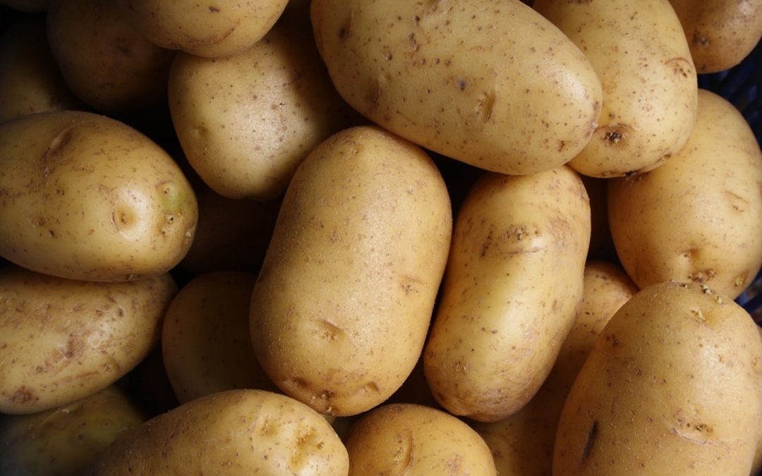 Unlocking the Power of Potatoes for Your Success Journey