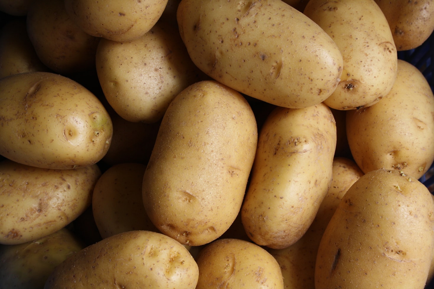 Unlocking the Power of Potatoes for Your Success Journey