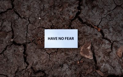 Conquer Your Fears: Steps to Build Confidence and Success