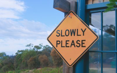 Embrace the Power of Slowing Down for Success