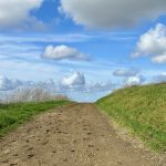 Overcoming Roadblocks: Cultivating Optimism for Success