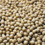 The Power of Soy: Unlocking Health and Success Benefits