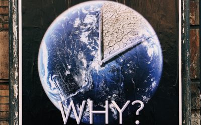 Transform Your Life with These 5 Powerful Questions