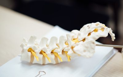 Understanding Spinal Health for Success and Well-Being