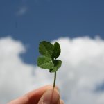 Unlocking Your Potential: How to Create Your Own Luck