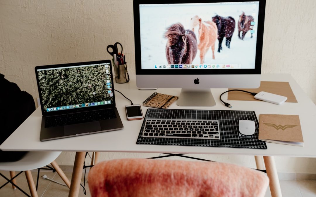Build a Winning Freelance Portfolio for Success