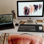 Build a Winning Freelance Portfolio for Success Build a Winning Freelance Portfolio for Success