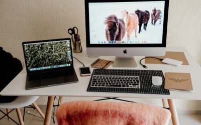 Build a Winning Freelance Portfolio for Success