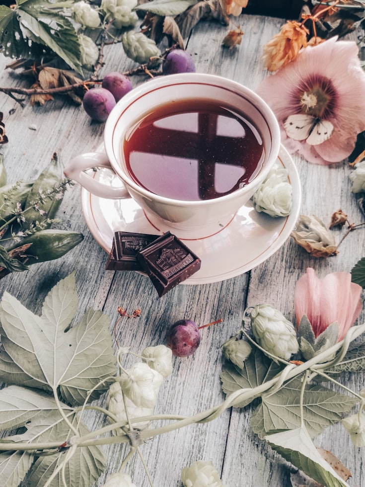 Discover the Antioxidant Power of Chocolate Tea for Success