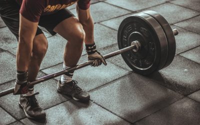 The Power of Passion: Christian Thibaudeau’s Path to Success
