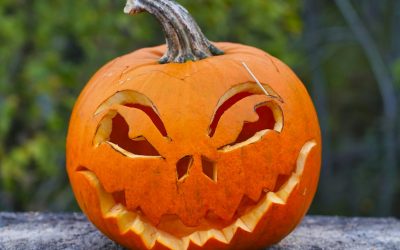 Uncovering the Secrets of Jaundice and Carotene for Success
