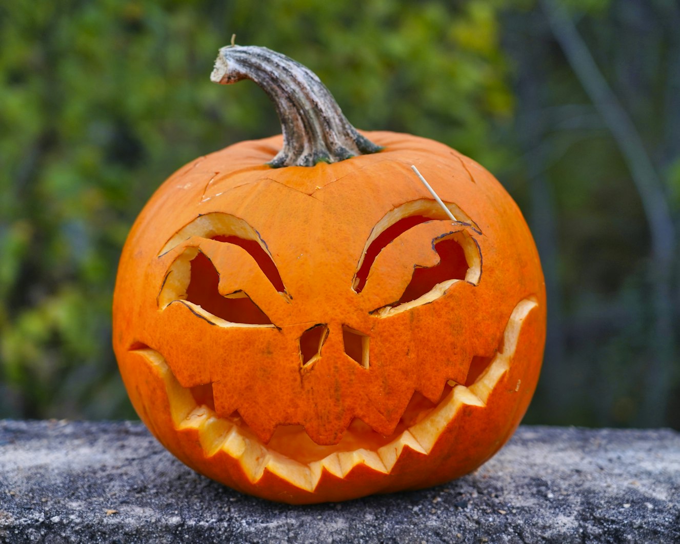 Uncovering the Secrets of Jaundice and Carotene for Success