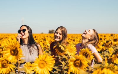 Embrace Simplicity: Transform Your Life with Powerful Habits