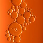 The Hidden Dangers of Fish Oil Supplements Revealed The Hidden Dangers of Fish Oil Supplements Revealed