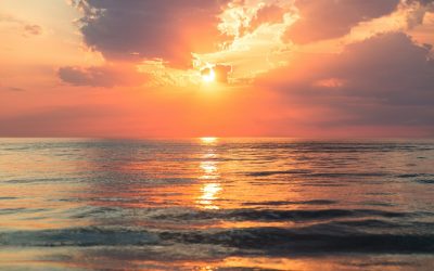 Unlocking the Power of Optimism for Success and Happiness